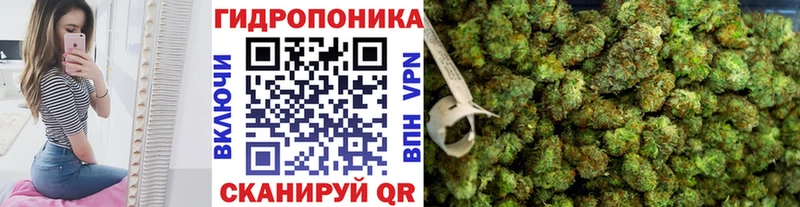 ОМГ ОМГ ТОР  Новоалександровск  МАРИХУАНА Ganja 